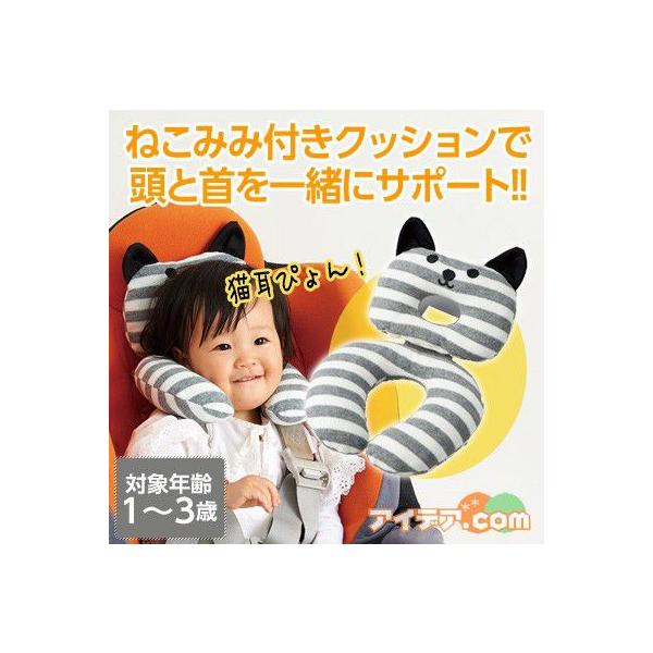 cogit_001540