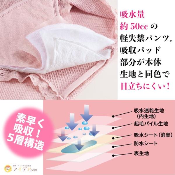 ウイスキー専門店 蔵人クロード 吸水 軽失禁パンツ 伸縮 アモーレ 2枚組 尿漏れパンツ女性 コジット メール便 消臭 ゆったり履ける レディース らくらく深ばき 履きやすい 大判パッド 介護用品 Pafootballnews Com