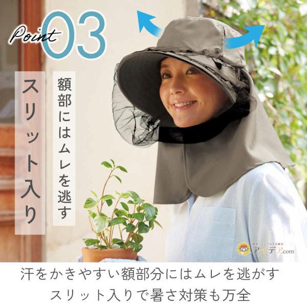 cogit_043402_4_d_20230621180350