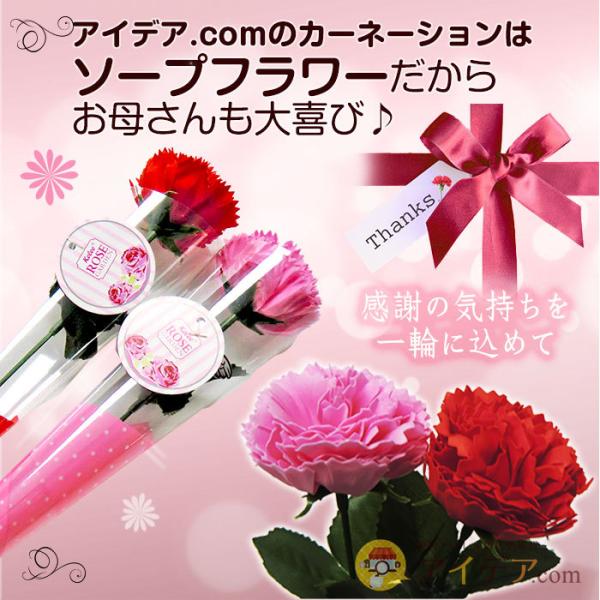 ソープフラワー カーネーション 赤 ピンク 母の日ギフト 観賞用 バスフラワーカーネーション アスキュー a 便利 キレイの雑貨アイデア Com 通販 Yahoo ショッピング