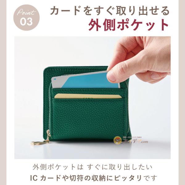 cogit_092173a_5_d_20250327142846