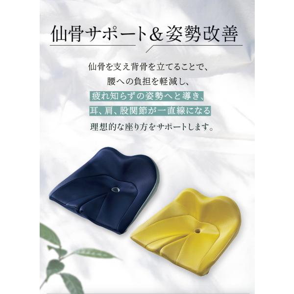 cogit_093935a_2_d_20250129164927