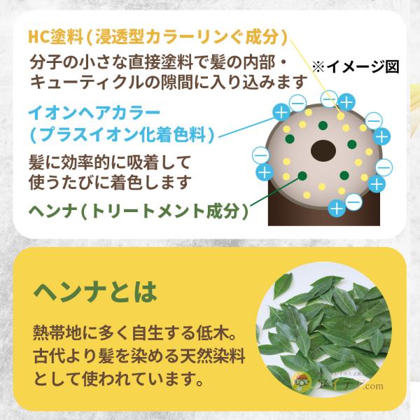 cogit_487957_4_d_20230904153803