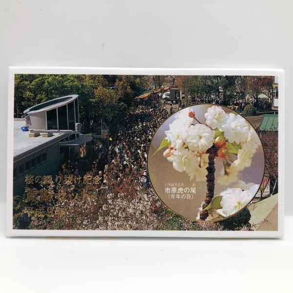 桜の通り抜け 平成9年 貨幣セット 市原虎の尾(1997年) 純銀 桜の通り抜け 平成9年 貨幣セット 市原虎の尾(1997年) 純銀