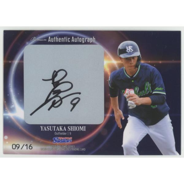 coletre_kpl171714328