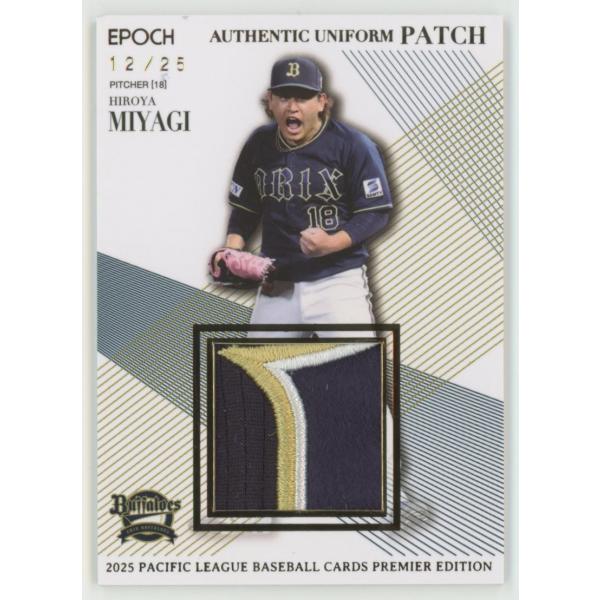 王柏融 20枚限定 ユニフォームパッチカード EPOCH coletre_kpl171717010
