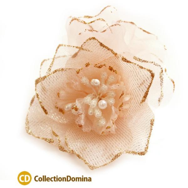 RT[W p[ t[ CgsN  CXg[ su[` Nbv wAANZ w Ǝ |XgzsEz֌z