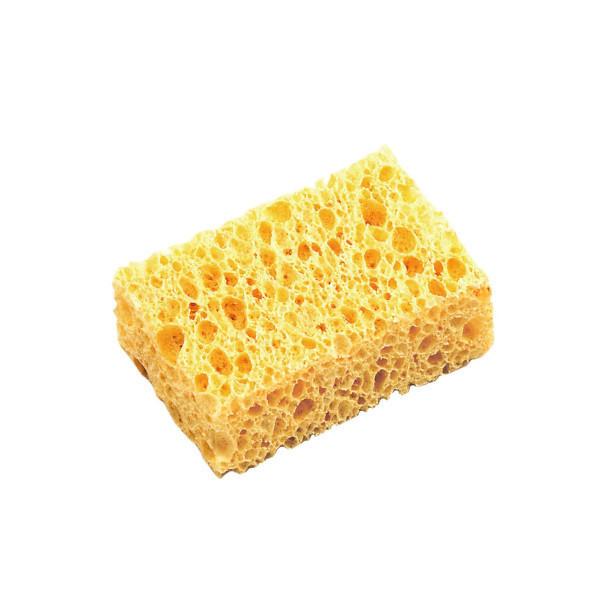 TAJIMA ^W} GCnV8ږȃZbg SUMV8-WAT