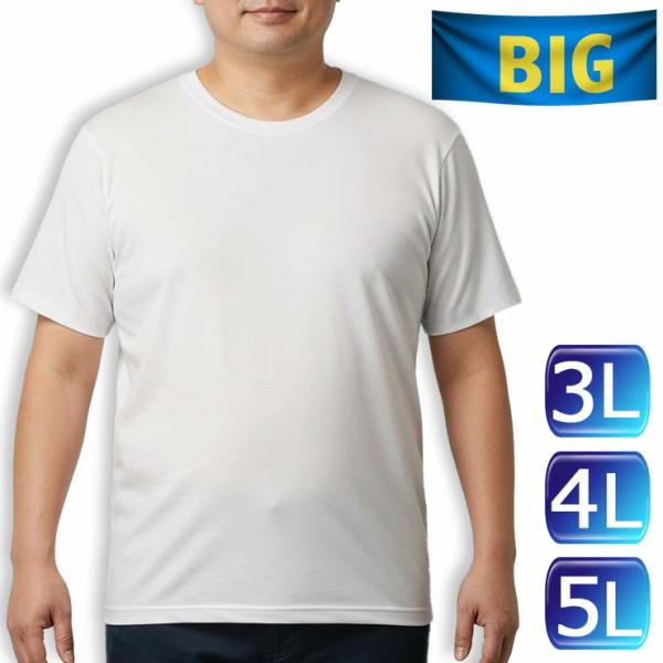 メンズ インナー 2枚組 大きいサイズ セット 半袖tシャツ 男性下着 丸首 肌着 綿100% 5L 4L 3L 13-820