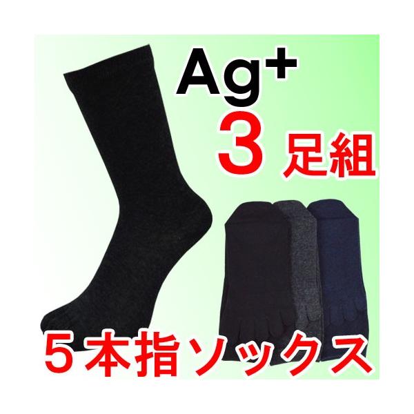 C Y Zbg 5{w \bNX jIC΍ L ΍ N[ ܖ{w CI 3g 