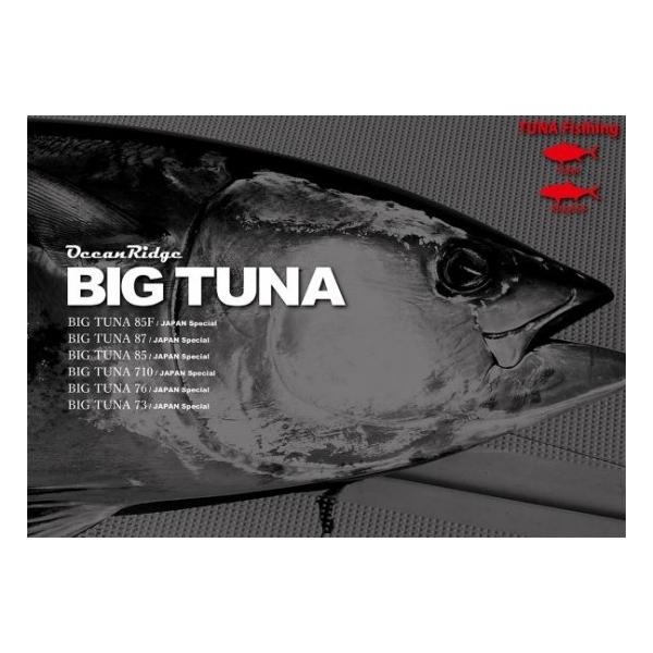 RippleFisher ビッグツナ76 JAPAN Special : fishing shop Colony
