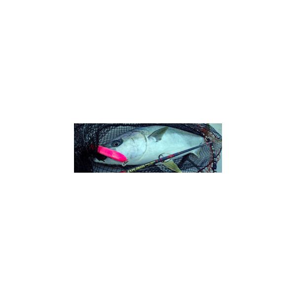colonychiba_co1066