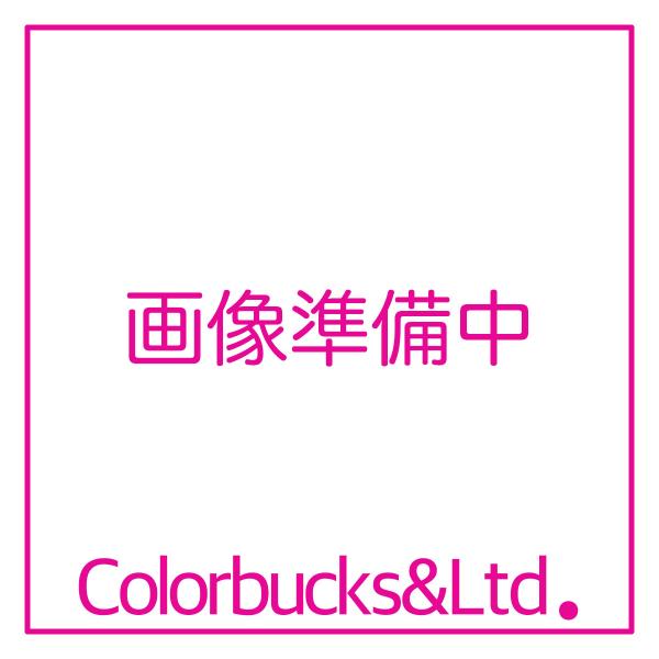 三彩化工　酸性除錆剤　強力タイプ鉄や非鉄金属に生じた錆を除去します。金属表面に僅かのエッジング作用をすることから、後で塗布する防錆剤及び塗料の密着をよくする効果もあります。除錆後、完全な水洗いが必要です