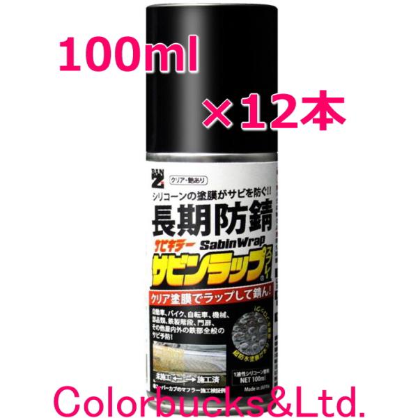 【サビンラップスプレー】【100ml×12本】BAN-ZI【クリア塗膜の長期防錆シリコーン系塗料】BANZI バンジー/バンジ 表面をラップ防錆