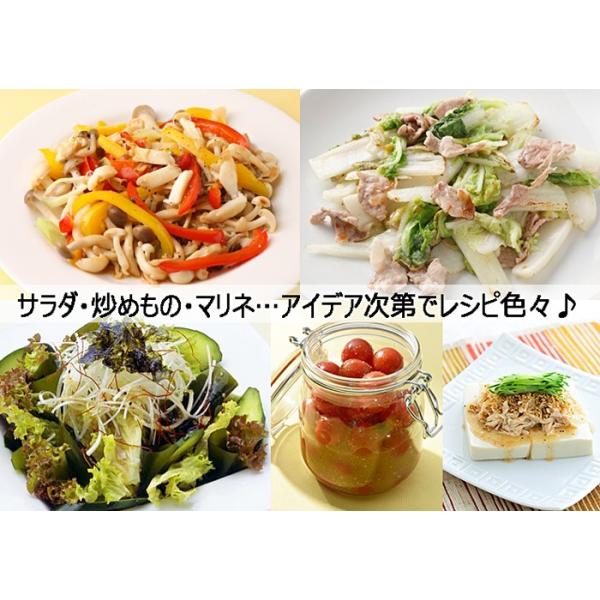 リケン ノンオイル くせになるうま塩ドレッシング 大容量1l ノンオイルドレッシング 塩味 サラダ マリネ 炒めものに 理研 旨塩 Buyee Buyee 日本の通販商品 オークションの代理入札 代理購入