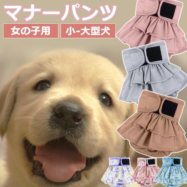 [Release date: March 11, 2025]メール便送料無料!!【サイズ】画像参照●ご注文後のキャンセル・サイズ・お色・数量の変更は一切承っておりません。イメージと違っていた、画像と色が異なる、サイズが合わないなどお客様のご...