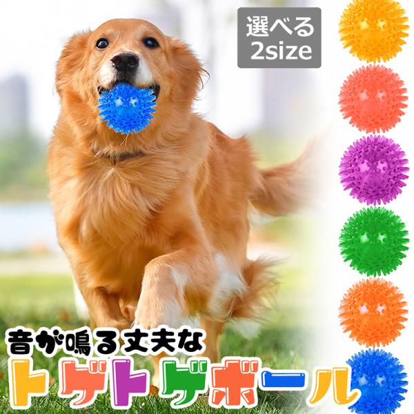 [Release date: August 18, 2025]丈夫!!音が鳴る!!水濡れOK!!アクティブなワンちゃんにぴったりなトゲトゲ付きのボール型ドッグトイです♪TPR素材で口に入れても安心★2サイズからお選び頂け、小型犬から大型犬ま...