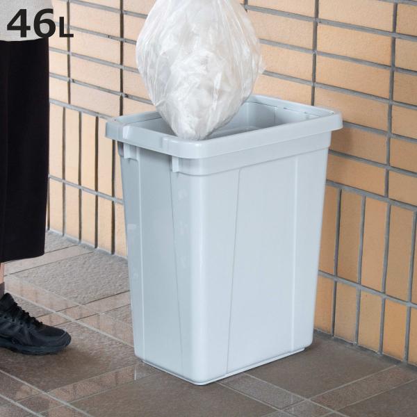 ゴミ箱 46L エコペール 本体のみ （ 46 リットル ダストボックス キッチン 大容量 プラスチック ごみ箱 角型 屑入れ 屑箱 ）