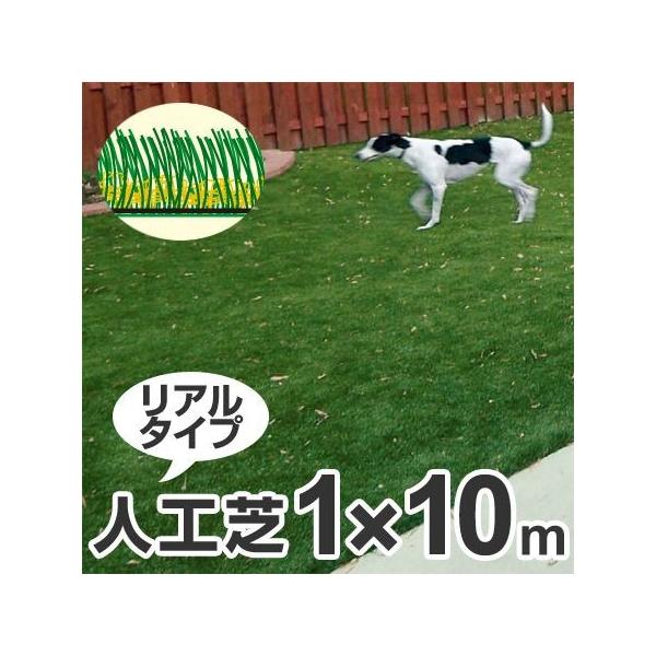 i@lj lHŁ@OpV[g@A[^[t@1m×10m@pC2cm i }bg [ A^Cv j