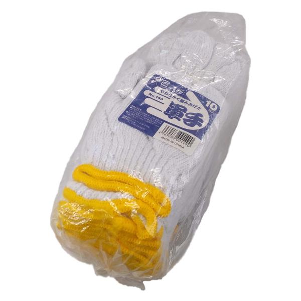 炩҂ݏグR 10o i ƗpR Ɨp R  j