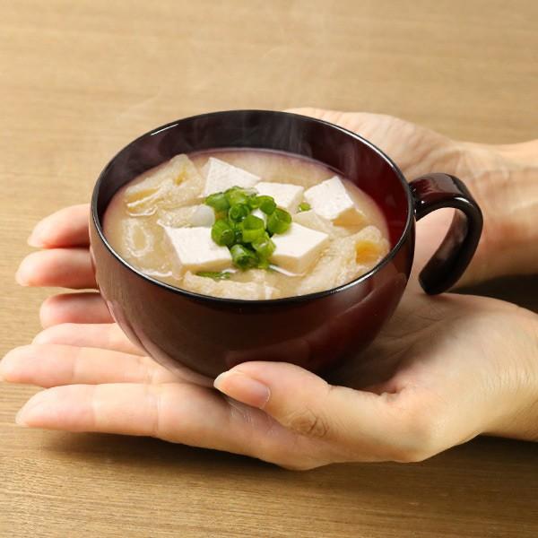 `o ԗ t N[R[gH 270ml Rh i H@Ή dqWΉ o o X[v{E X`q zq j