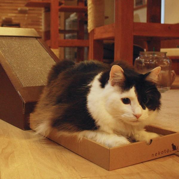 ねこ キャットハウス 三角屋根 またたび 爪とぎ付き 猫 ペットハウス