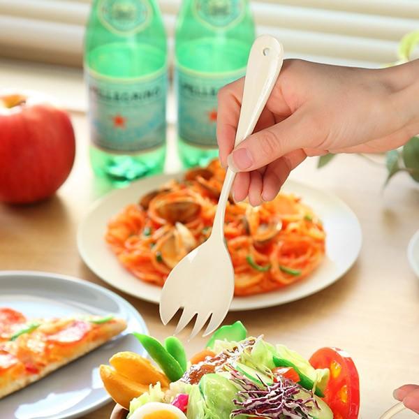 tH[N 20cm m Noix T_tH[N XeX z[[ { i mH Jg[ 蕪 AC{[ j