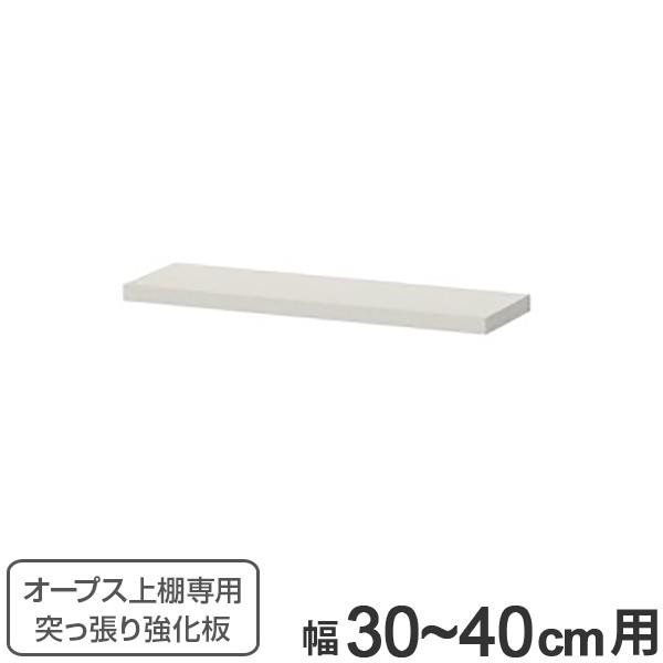 I[vXuIp ˂苭 30`40cm i  I[vX p[cIvV uIp ˂ j