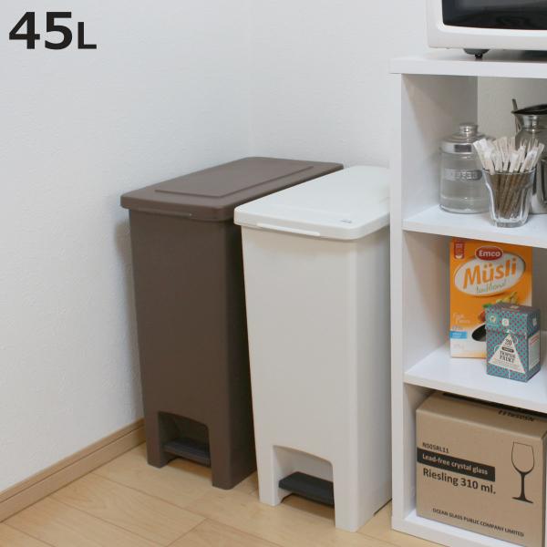 ゴミ箱 45l ペダル ふた付き 分別 ごみ箱 シンプル ダストボックス キッチン フタ付き ペール 45リットル 分別ごみ箱 分別ゴミ箱 お弁当グッズのカラフルボックス 通販 Yahoo ショッピング