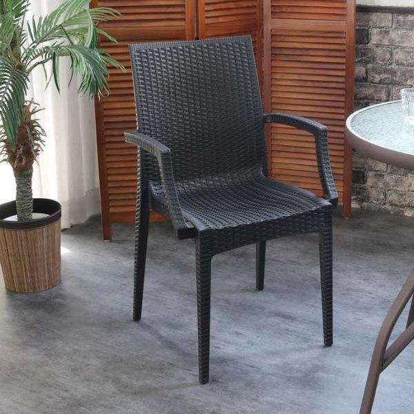 A[`FA ^҂ݕ K[f`FA ʍ45cm i `FA _CjO`FA[ `FA[ CX  j