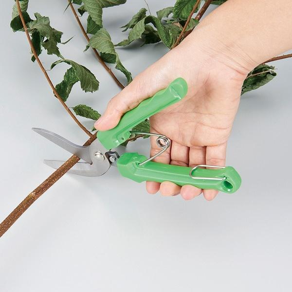 e傲  nT~ ړI}WbN͂ i \͂ p  ͂  j