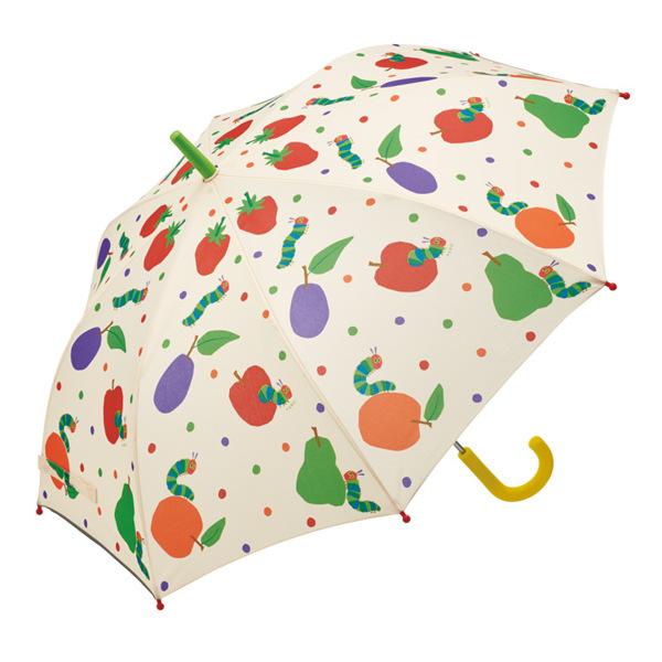 P qp 55cm ͂؂ނ i  JT Au J CObY P j