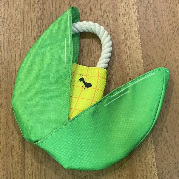 ybg   gERV ꂨ i ybggC ybg ybgpi j