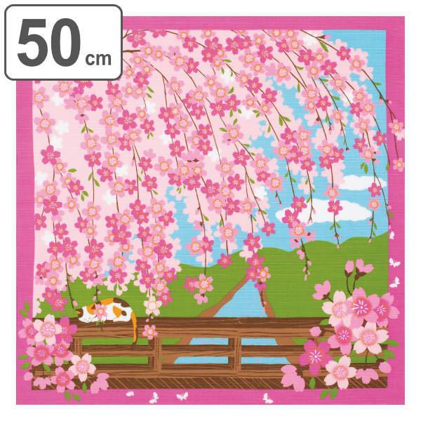 C~ `NX ٓ 50cm  OєL݂̖L ӂ낵 ݂̂Ԍ i C~ ӂ낵 ٓ 50Z` a  { lR j