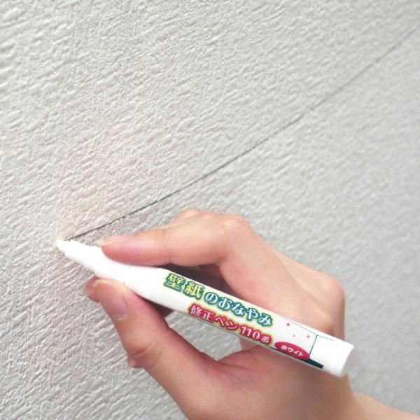 ǎ̂ȂݏCy110   C i ǎ NX  yCg Cy j