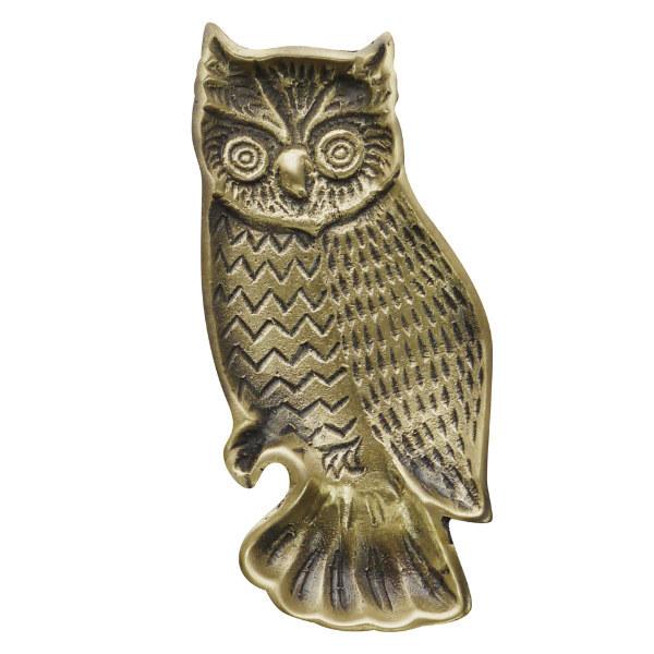 gC ӂ낤 CeA u ANZT[g[ i ^J ANZT[gC gC g[ j