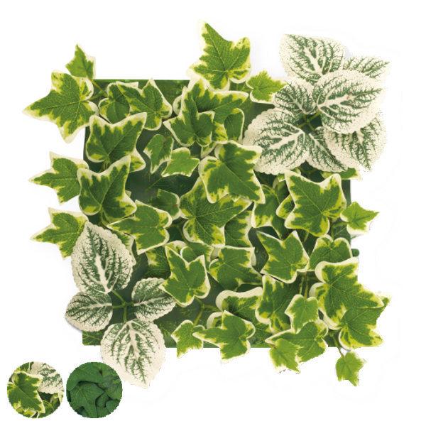 lHϗtA ǖ GNA L A[eBtBVO[ tFCNO[ i ϗtA  CTG} G} j