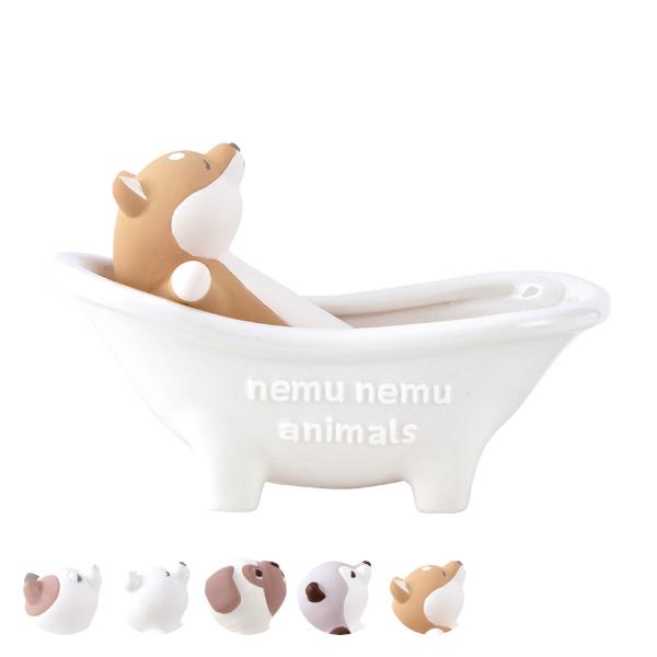  C oX^u  fĂ i C   j