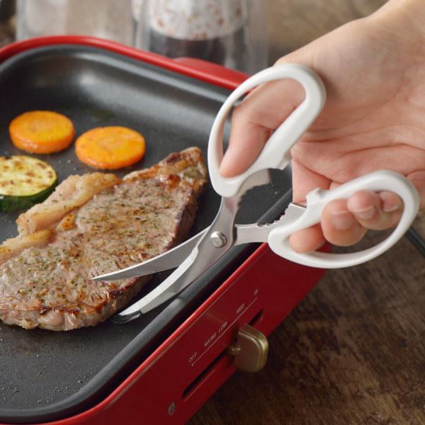 Lb`oT~ MOTTE zbgv[gpē͂ Jo[t i Lb`  ͂ nT~  XeX J[u n K[ht { j