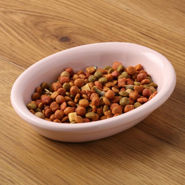 他サイト： 猫 猫用 食器 ボウル AppeTIT アペティ CAT OVAL 200ml ネコ オーバル （ 陶器 フードボウル ペット用品 ペット用 ）の商品画像