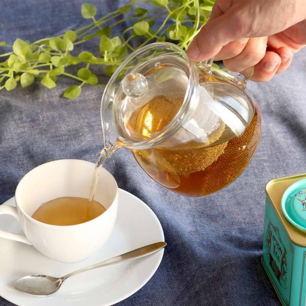 eB[|bg 450ml t ϔMKX |bg i dqWΉ g|bg Xg[i[  eB[T[o[ g j