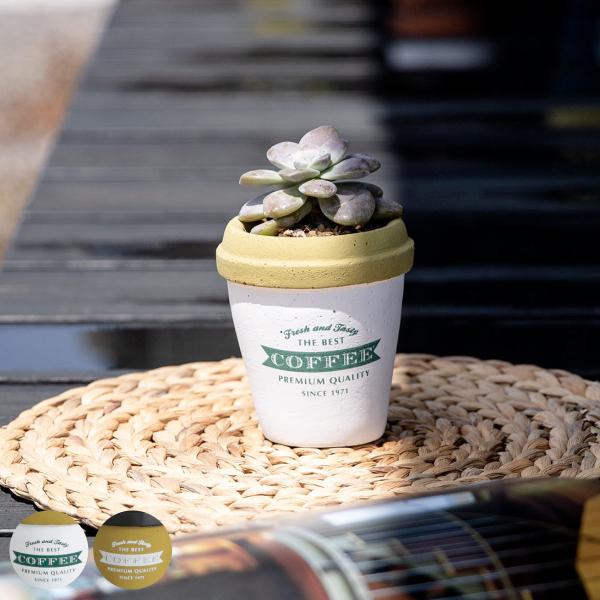 v^[ A|e t[|bgA STCY i Aؔ vg|bg Zg|bg   j