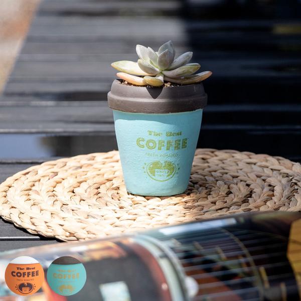 v^[ A|e t[|bgD STCY i Aؔ vg|bg Zg|bg   j