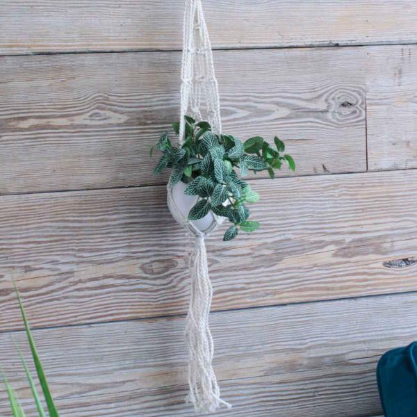 v^[ }NvgnK[Rbg S B i v^[nK[ vgnK[  ݂邷 nK[ z_[ j