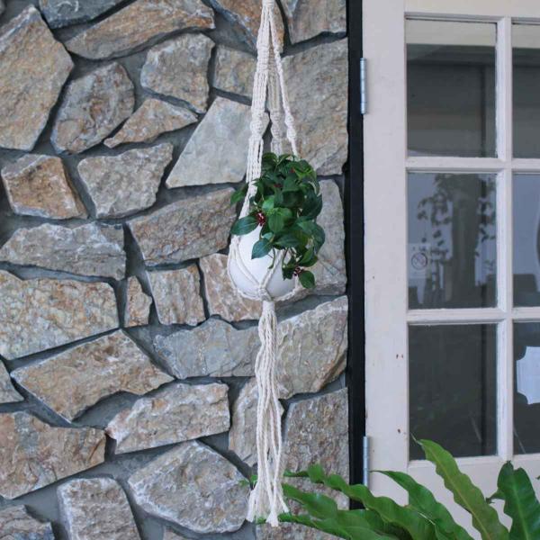 v^[ }NvgnK[Rbg S C i v^[nK[ vgnK[  ݂邷 nK[ z_[ j