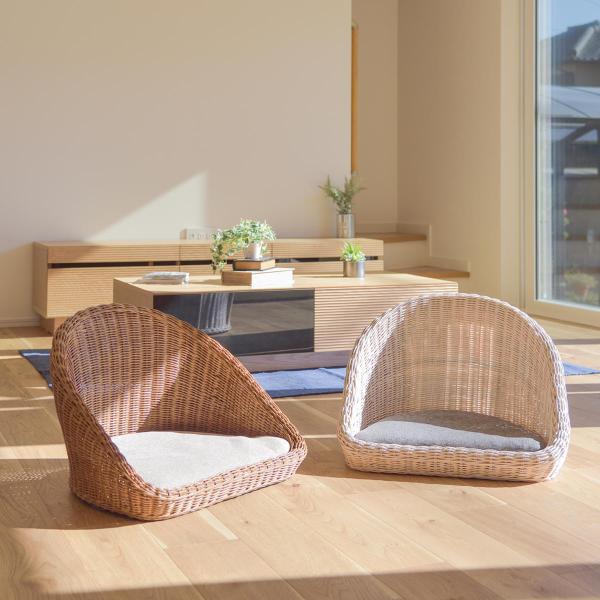  tA`FA NbVt 53cm i ֎q l| 1l| y ֎q [\t@ [`FA ^ i j