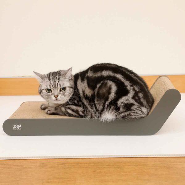 U[܂Ƃ TOGITOGI G hachi i L ˂ lR ܂Ƃ i{[ U[ Lpi j