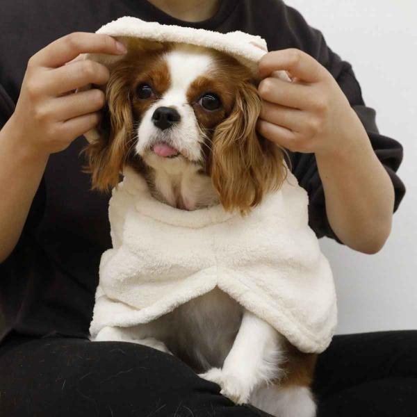 ybgp[u hachi Jybg[u Ck i  L EFA p Lp oX[u  ybgpi j