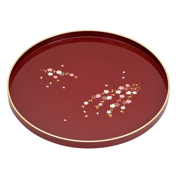 ~ 27cm ۖ~  Ԃ vX`bN i g[ gC  ی^ Lb`pi j