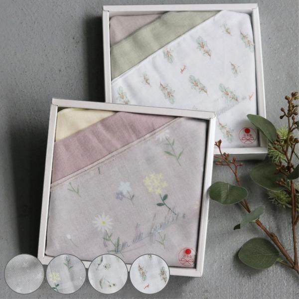 K[[ Lien de famille R Zbg { i K[[nJ` K[[^I 24cm xr[ Ԃ Mtg v[g ̎q j̎q  j